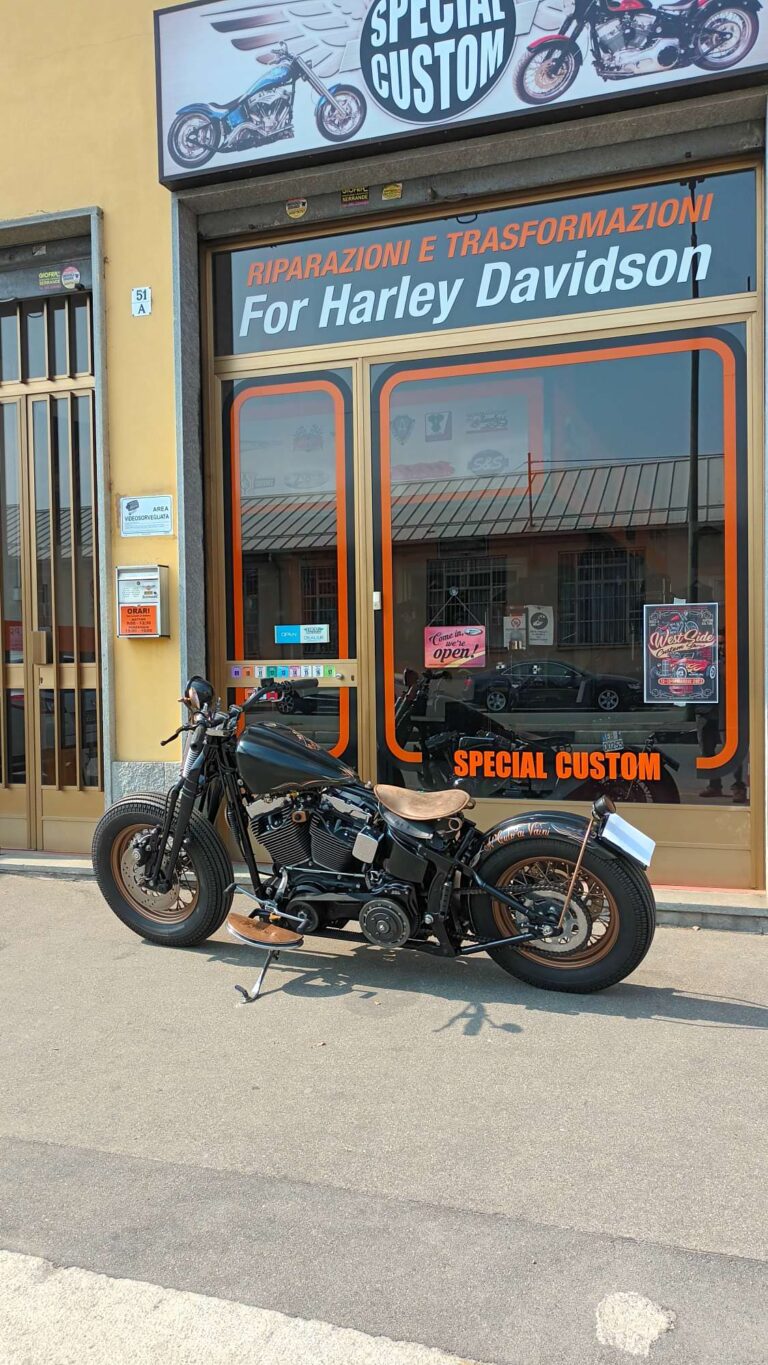 Harley-Davidson Heritage Springer Bobber usata Torino